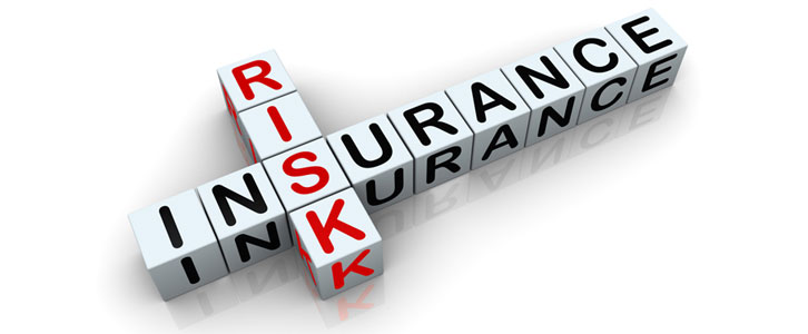 risk insurance